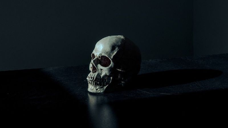 череп исследование