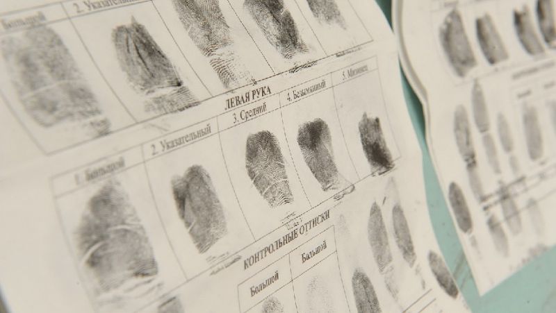 Отпечатки пальцев дактилоскопия, идентификация