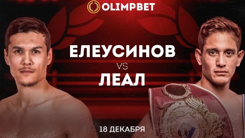 спорт бокс ставки, турнир