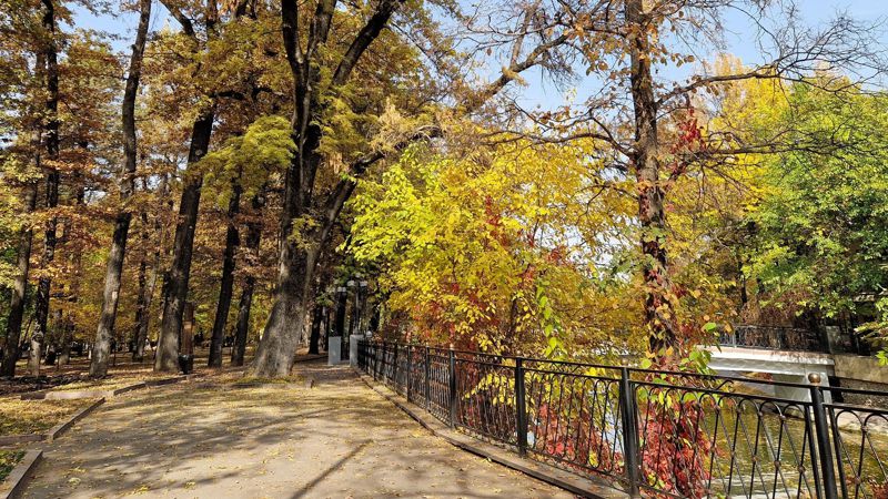 осень Синоптики рассказали, какой будет погода в Казахстане 7 сентября