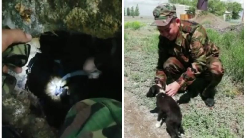 спасение щенка в ВКО ВКО, щенок, яма, спасение, видео