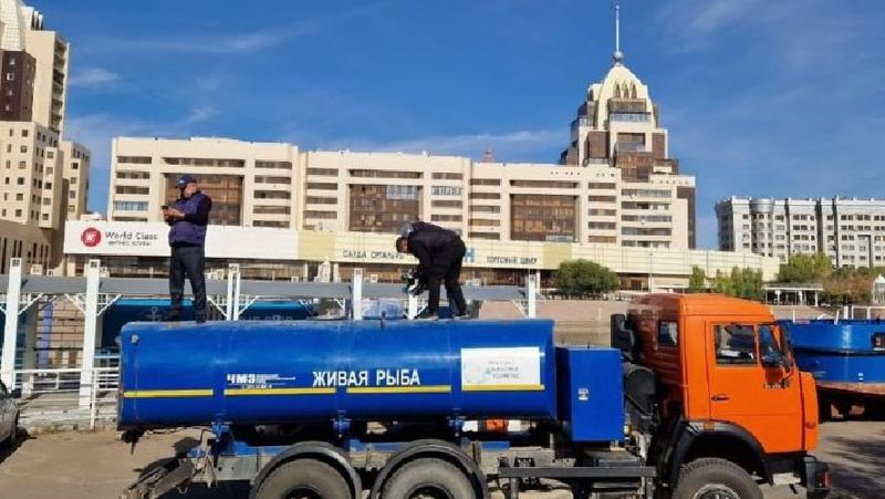 В Астане провели зарыбление реки Есиль