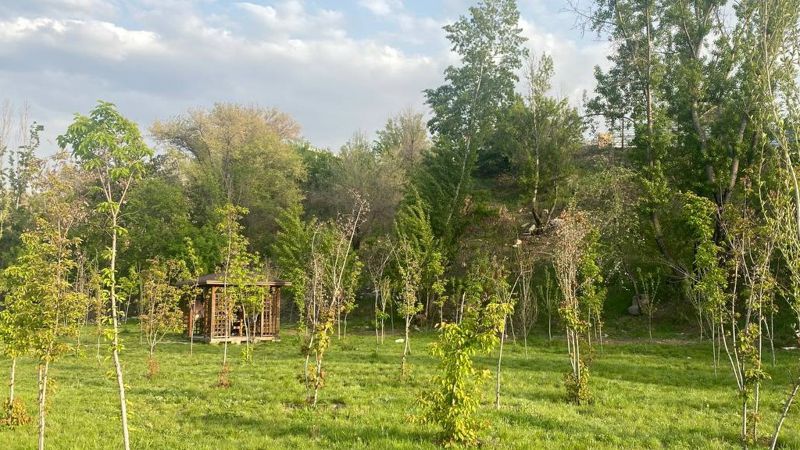 парк Какой будет погода в Казахстане 11 мая