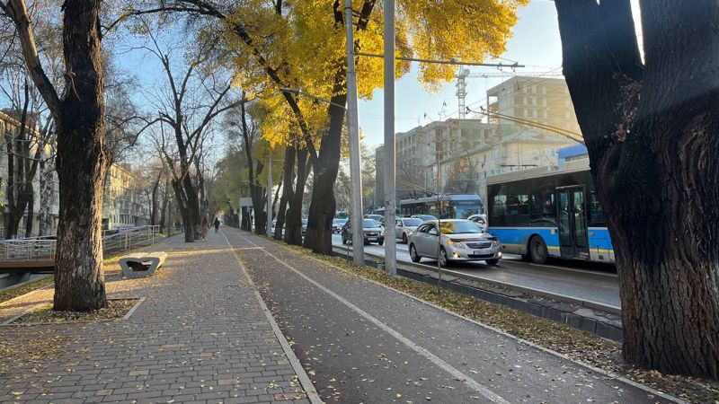 Крути педали: сезон закончился, а проблемы с велодорожками в Алматы остались