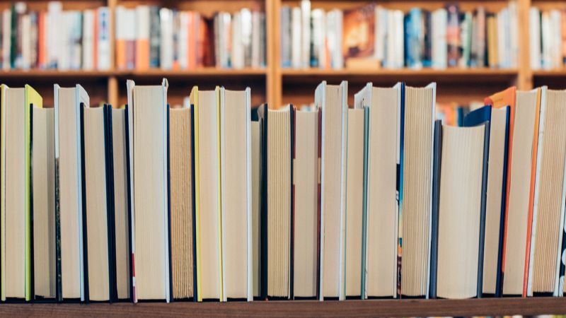 Оқу, білім Аудиторлар білім беру саласындағы жымқыруларды жасырып қалған