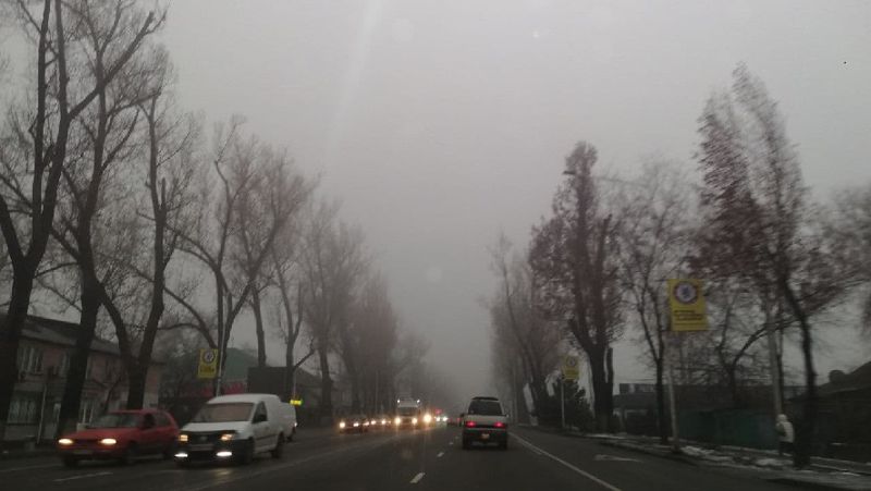 туман в Алматы