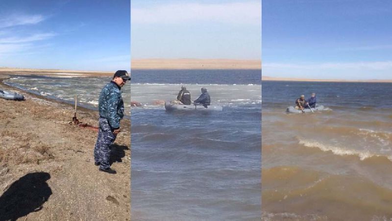 лошади утонули, извлечение с помощью резиновой лодки полиция обнаружила пропавших лошадей