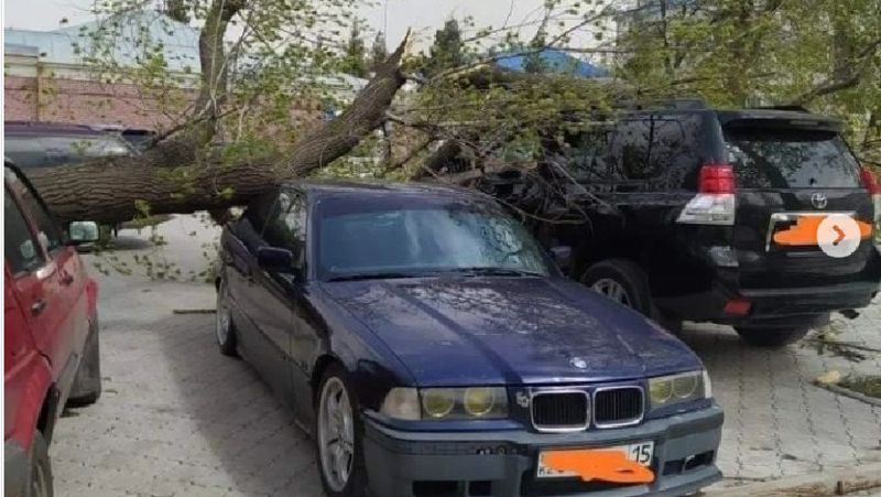 дерево упало на автомобиль ураган в Петропавловске