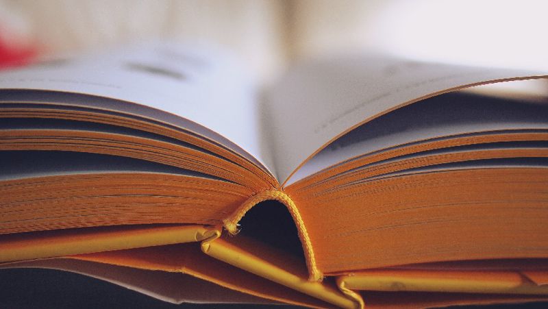 обсуждения книги, Марк Твен