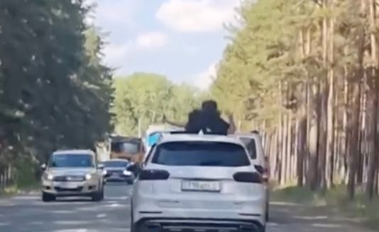 көлік көлік