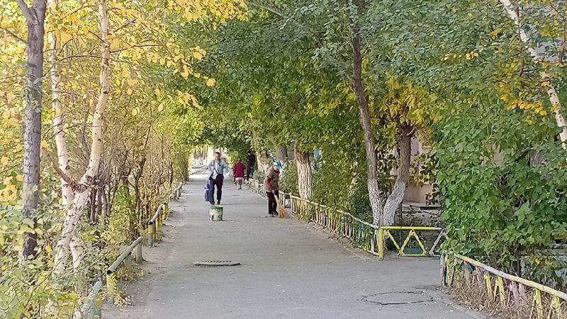люди гуляют осенью