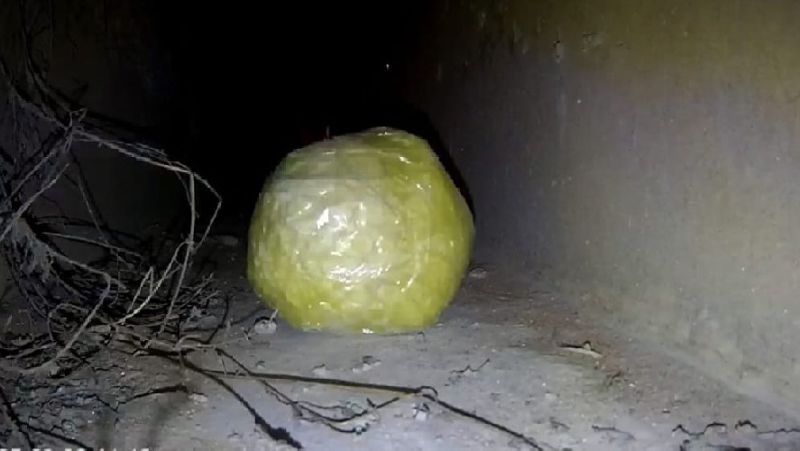 Скочпен оралған зат Колония аумағы
