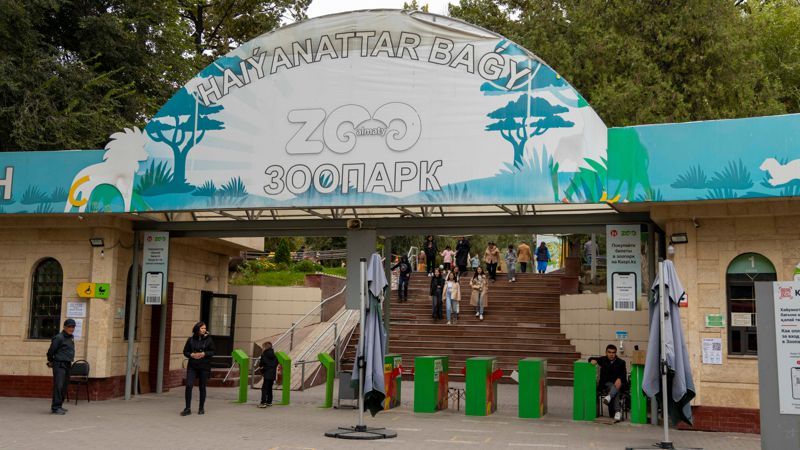 Зоопарк Алматы объявил конкурс на лучшее фото птиц