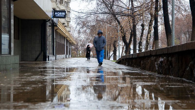 Дождь Погода Казахстан