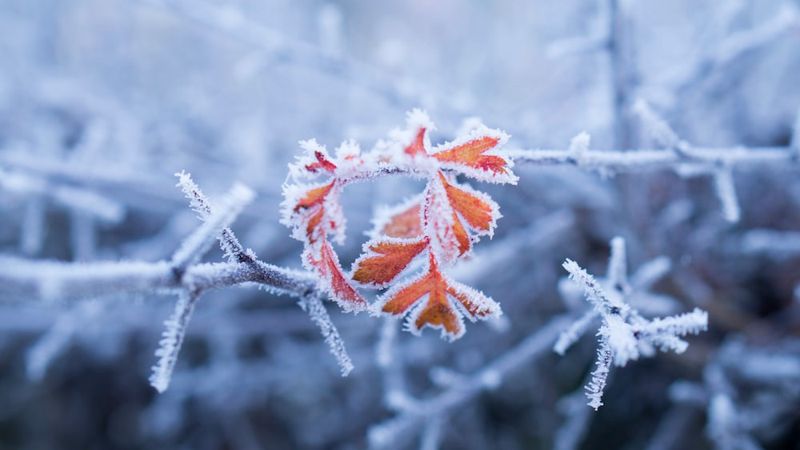 Морозы до 22 градусов ожидаются в Казахстане