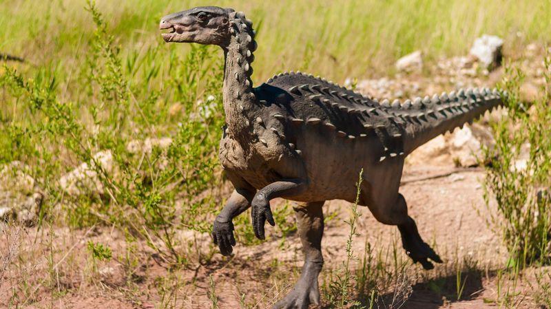 Скелет динозавра продадут на аукционе в Париже