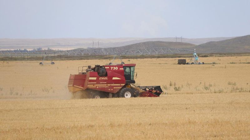 В Карагандинской области ежегодно идёт прирост орошаемых земель