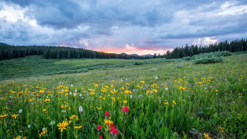 Ауа райы күн күркіреп, жаңбыр жауады