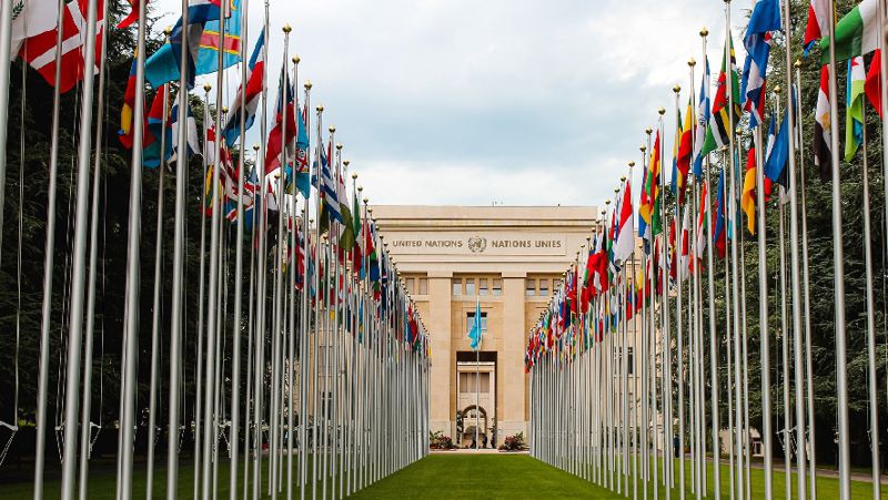 ООН Беженцы из Украины