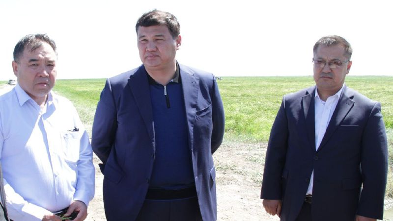 Налибаев ознакомился с ходом уборки урожая в Кызылординской области