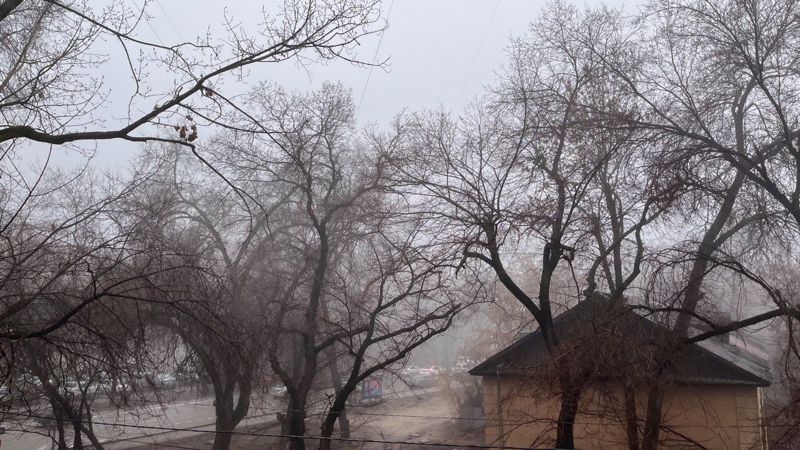 Туман накрыл Алматы