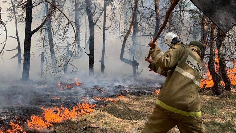 Өрт, орман Жетісу облысында өрт қаупі кезінде орманға баруға тыйым салынады