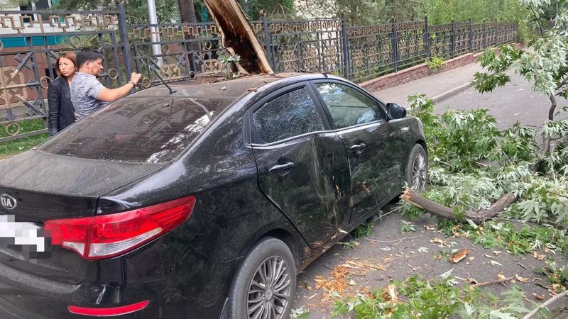 В Алматы рухнувшее дерево пробило автомобиль