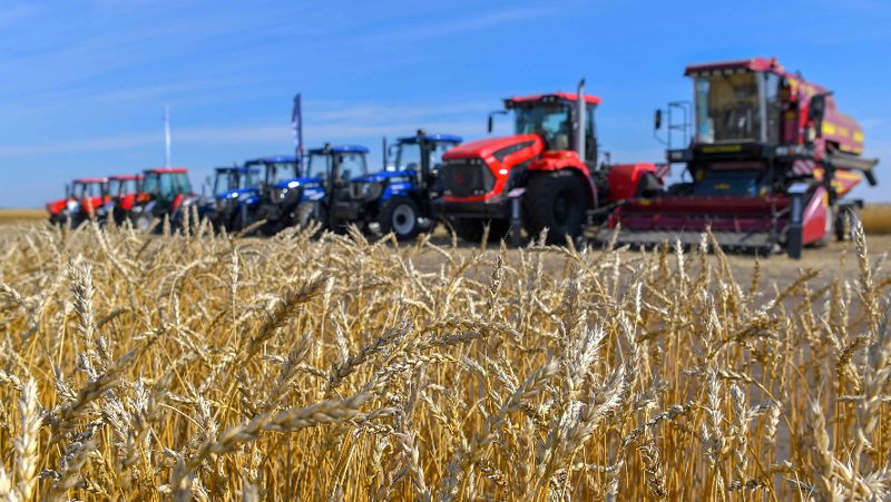 Казахстан будет надежным поставщиком зерна и продовольственных товаров