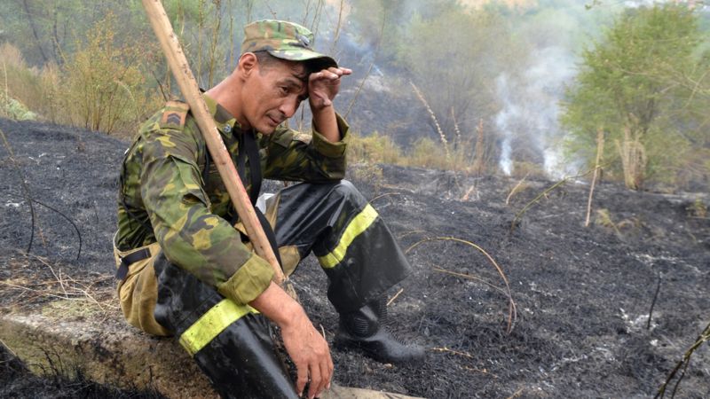 Костры и сжигание сухой травы: ДЧС обратился к алматинцам