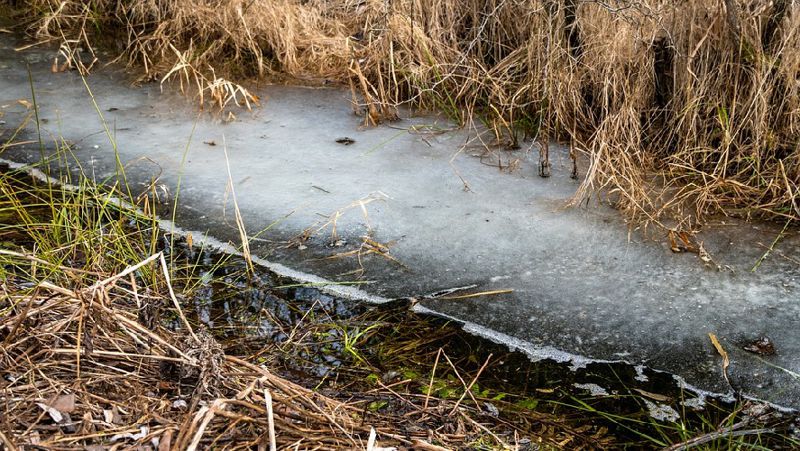 Талые воды ЗКО режим ЧС