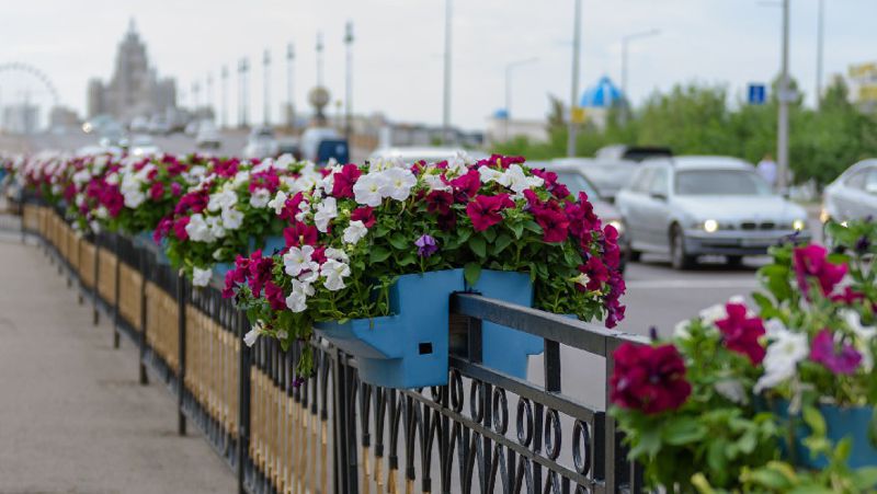 цветочки рк, погода, прогноз, казгидромет