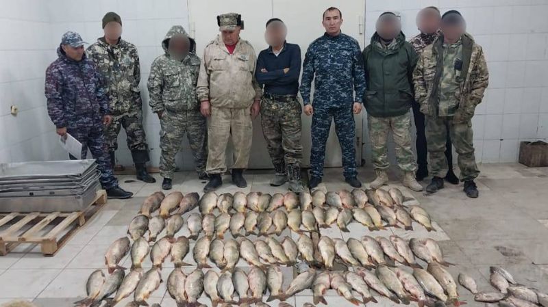 160 кг незаконно выловленной рыбы изъяли Туркестанской области