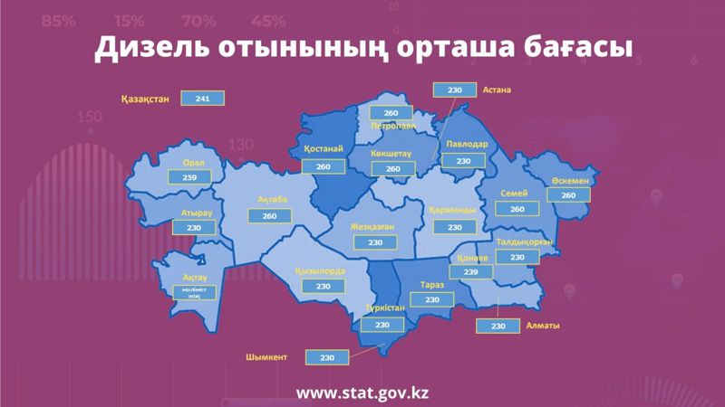 Названы топ-6 городов Казахстана с дорогим дизтопливом