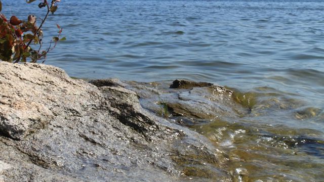 Высокое содержание нефтепродуктов нашли в водах Бухтарминского водохранилища после разлива там топлива 