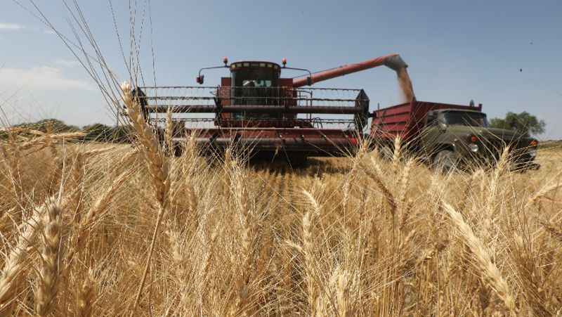 квоты на вывоз пшеницы и муки из Казахстана