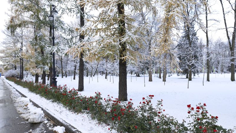 Погода на 20-22 апреля: в Казахстане ожидаются дождь, снег, гололед и туман