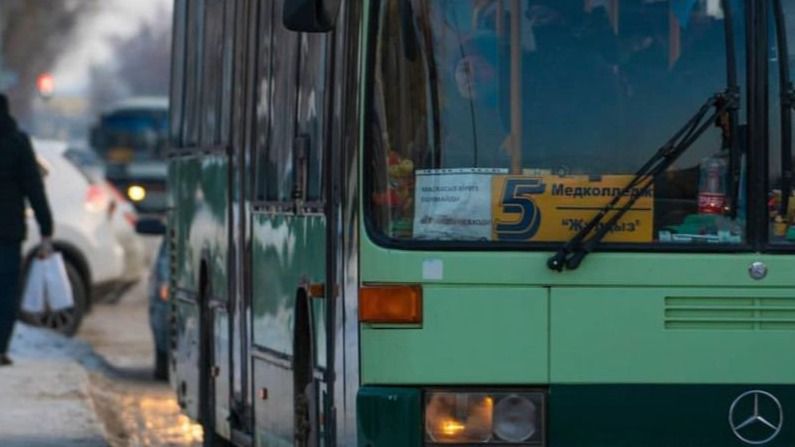 Уральцы 20 ноября могут ездить в общественном транспорте бесплатно