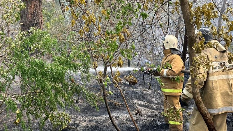 Площадь лесного пожара в Абайской области увеличилась до 30 тыс. га