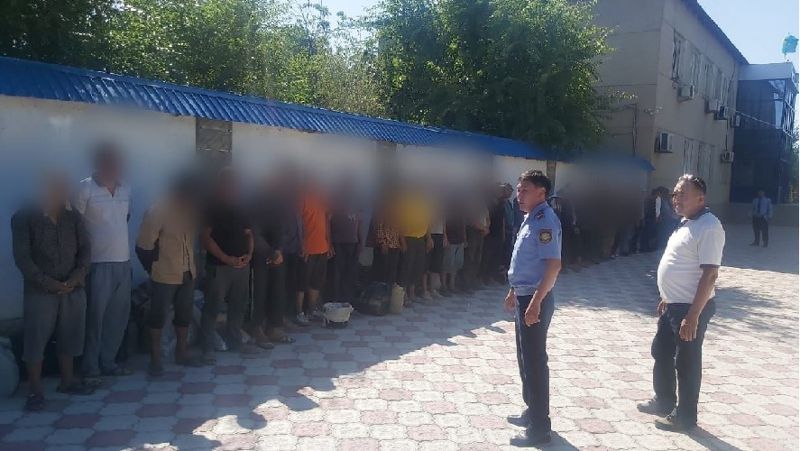 иностранцы, добыча ферулы 51 иностранца, задержаны, незаконная добыча ферулы
