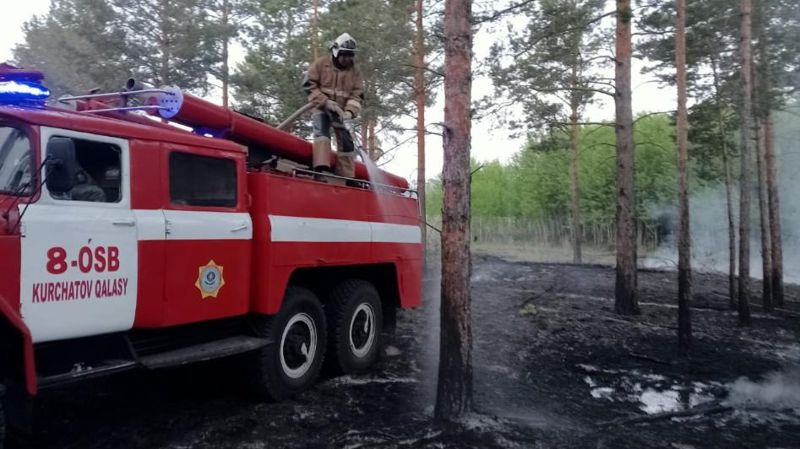  Вице-министр Кульдиков прибыл к месту лесного пожара