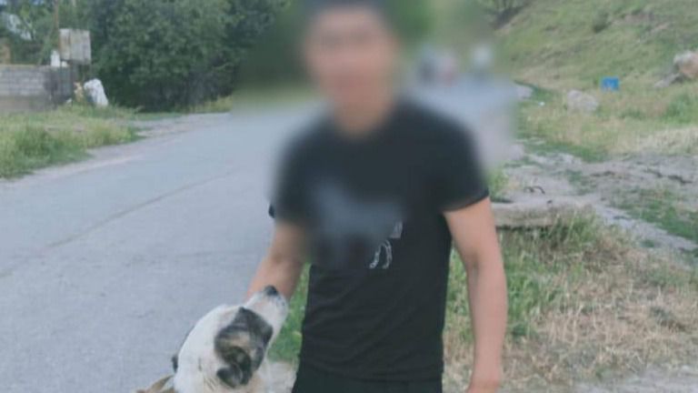 В Шымкенте водитель привязал собаку к машине и заставил бежать за ней