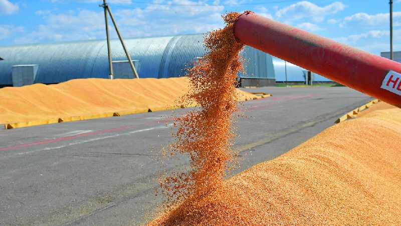 Казахстан может потерять внешние рынки зерна