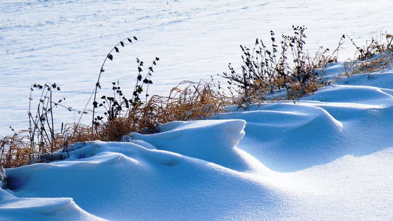 Снежную погоду прогнозируют синоптики на севере Казахстана  
