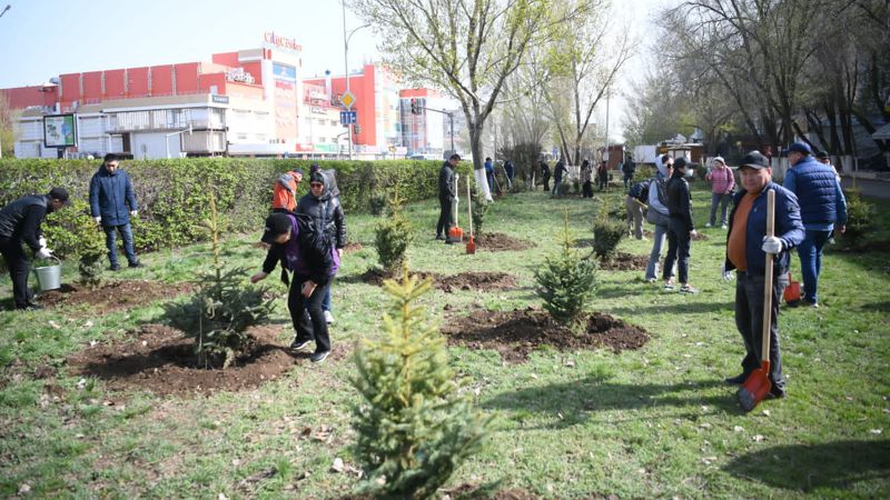 В Уральске высадили свыше двух тысяч деревьев