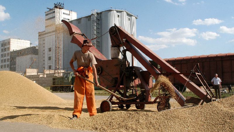 Квоты на вывоз муки и зерна сняли в Казахстане