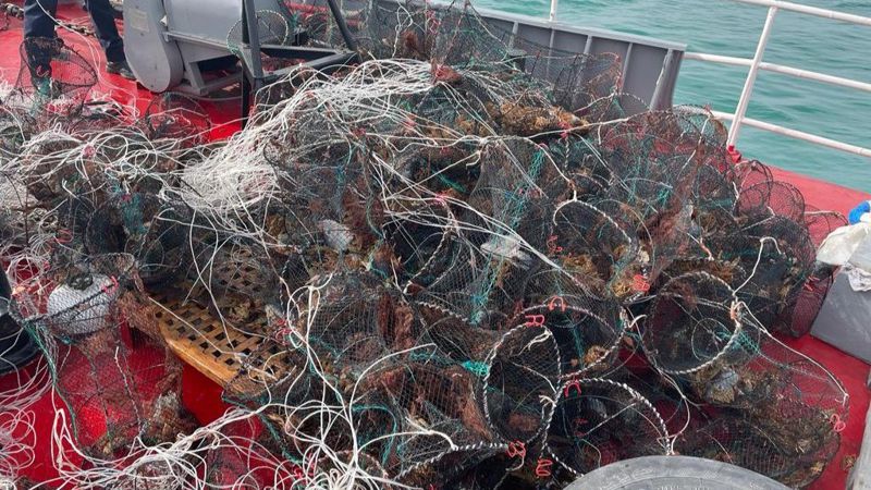 28 осетров, 13 тыс. рыб и 7 тюленей: как пограничники борются с браконьерами на Каспии