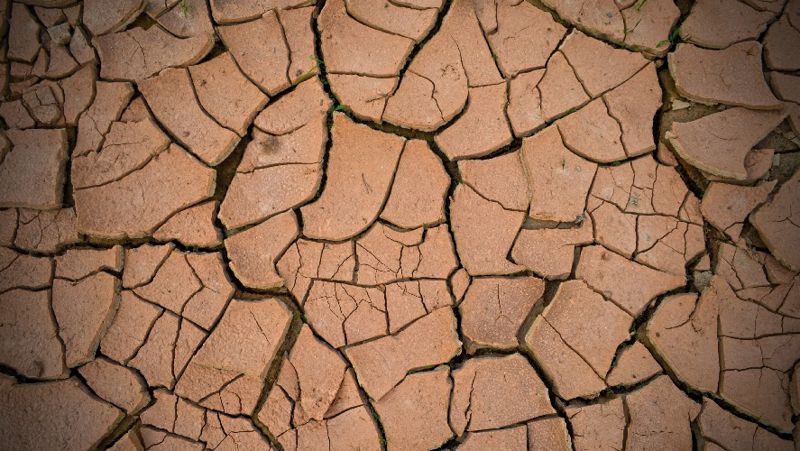 Ждать засуху? Казахстанские синоптики озвучили прогноз