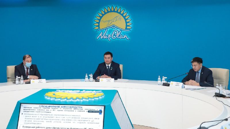 Nur Otan партия, субсидиялау