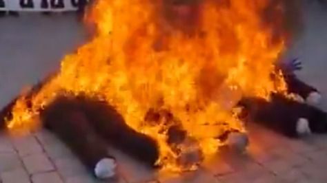 В знак протеста: во Франции сожгли чучела Макрона и Борн