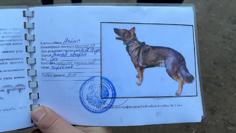 украли служебную собаку